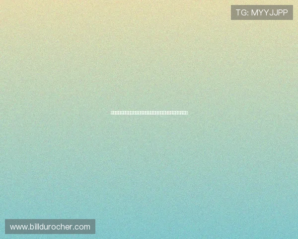 塞内加尔在世界杯中的明星球员介绍：谁是球队的绝对核心与领军人物